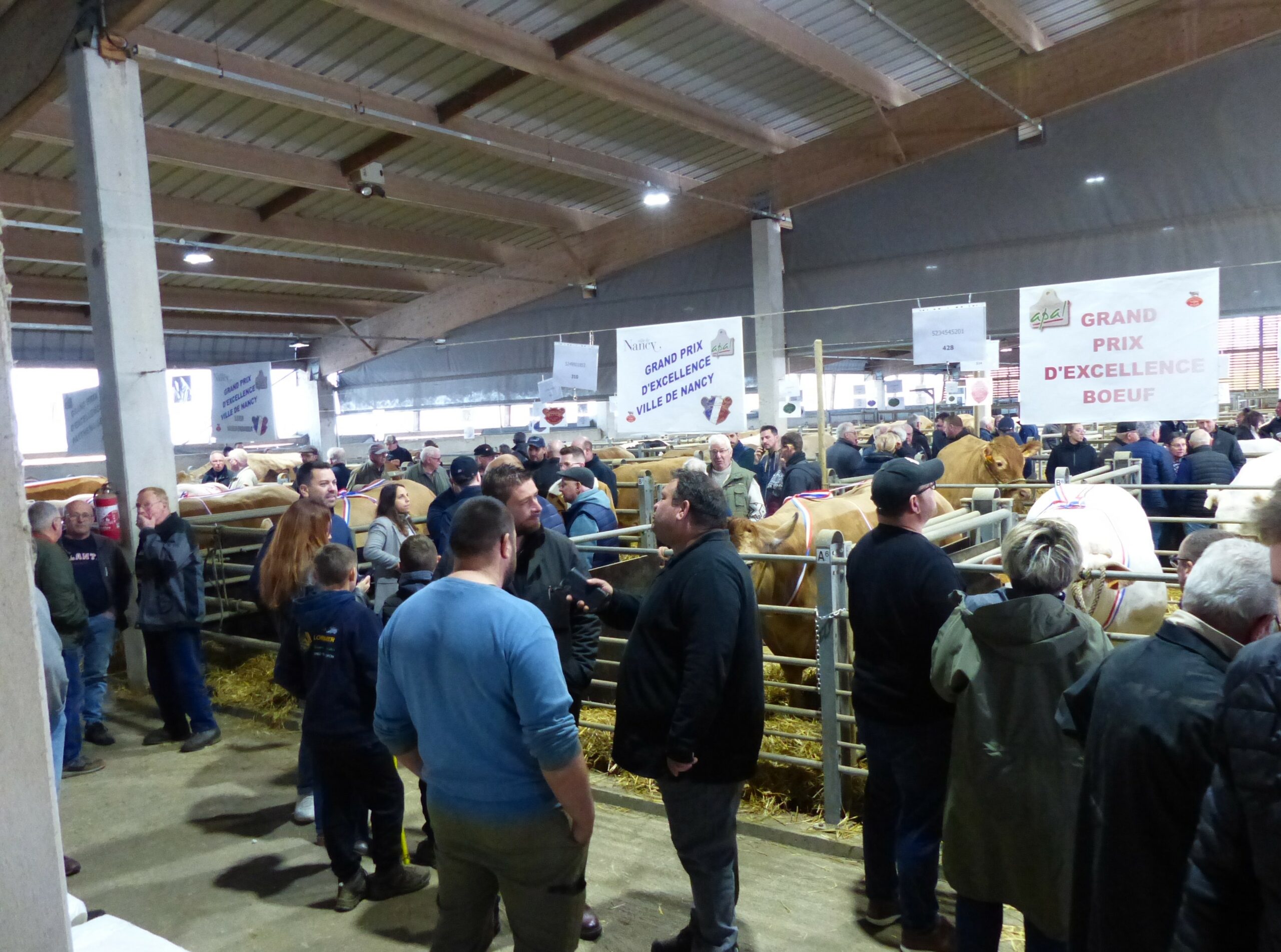 Concours d&rsquo;animaux de boucherie