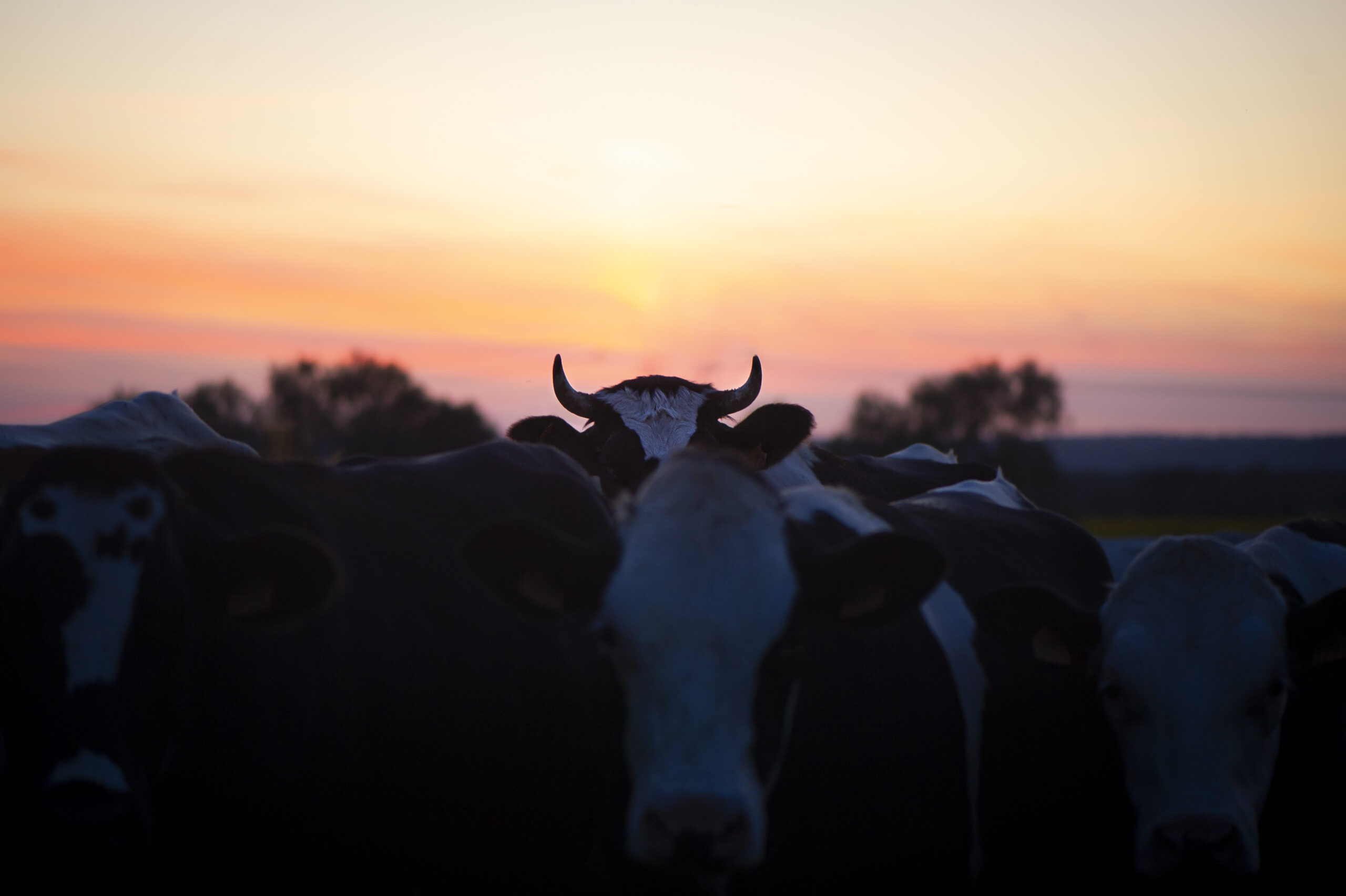 Résultats du Concours Photo