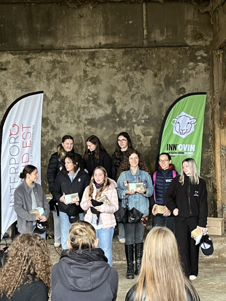 Journée des métiers de la filière ovine