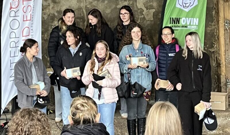 Journée des métiers de la filière ovine